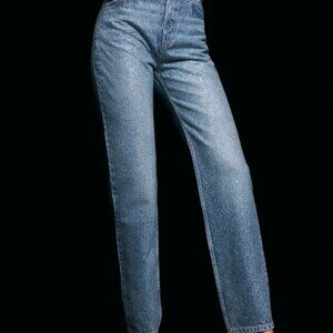 Abby High Rise Jeans with Rhinestones from Reformation - Size 24